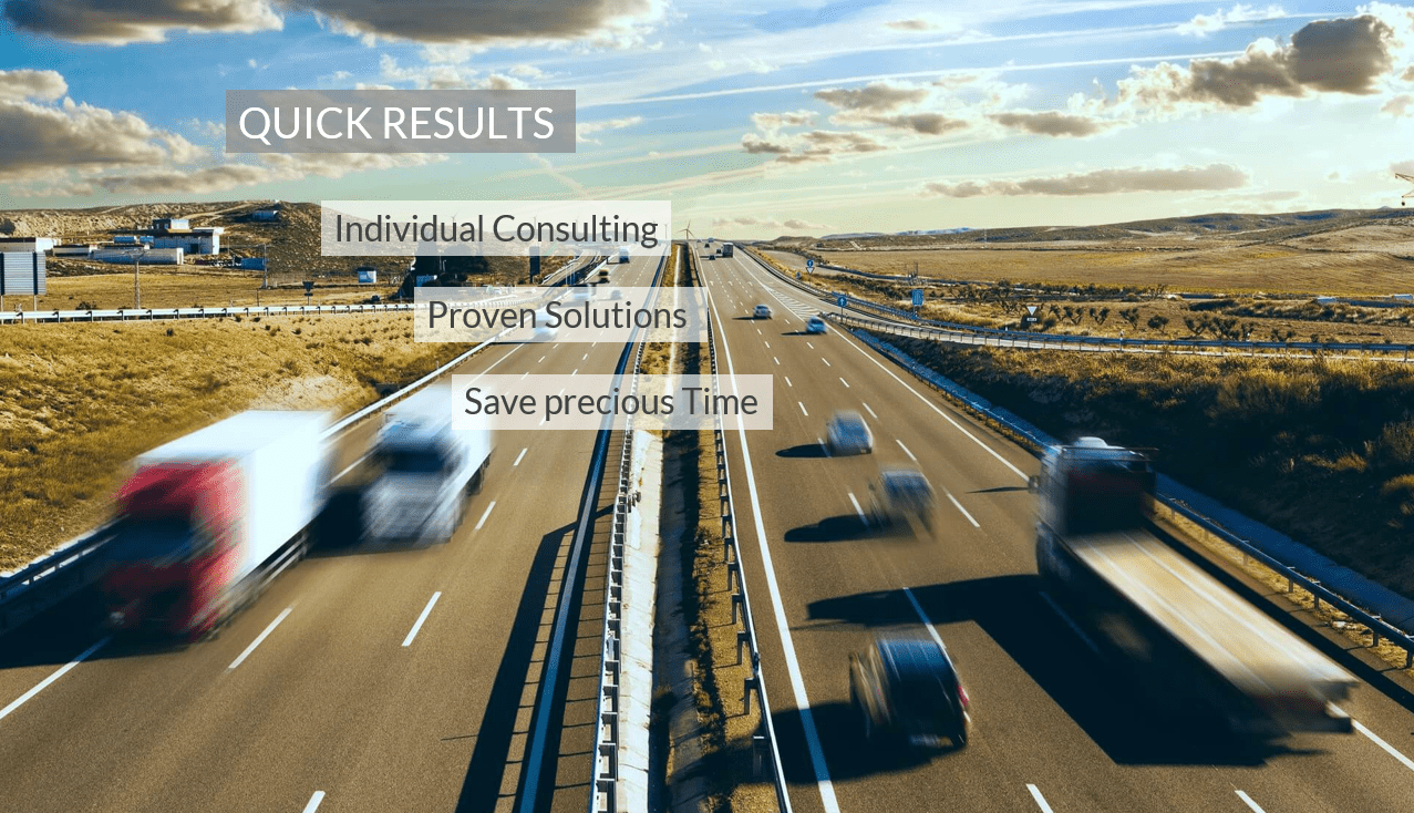 Quick Results Individual Consulting Proven Solutions Save Precious Time