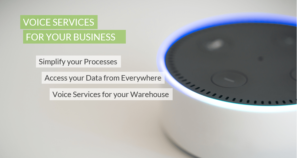 Amazon Echo Dot voice services for your business