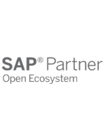 SAP Partner